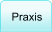 Praxis