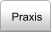 Praxis