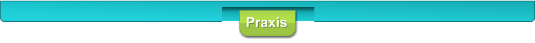 Praxis